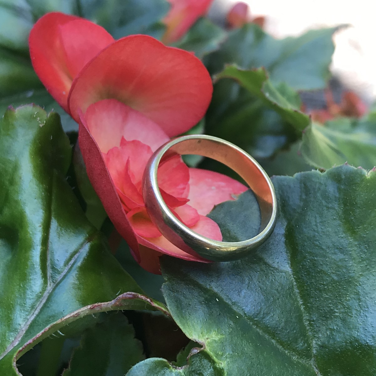 Estate Ring