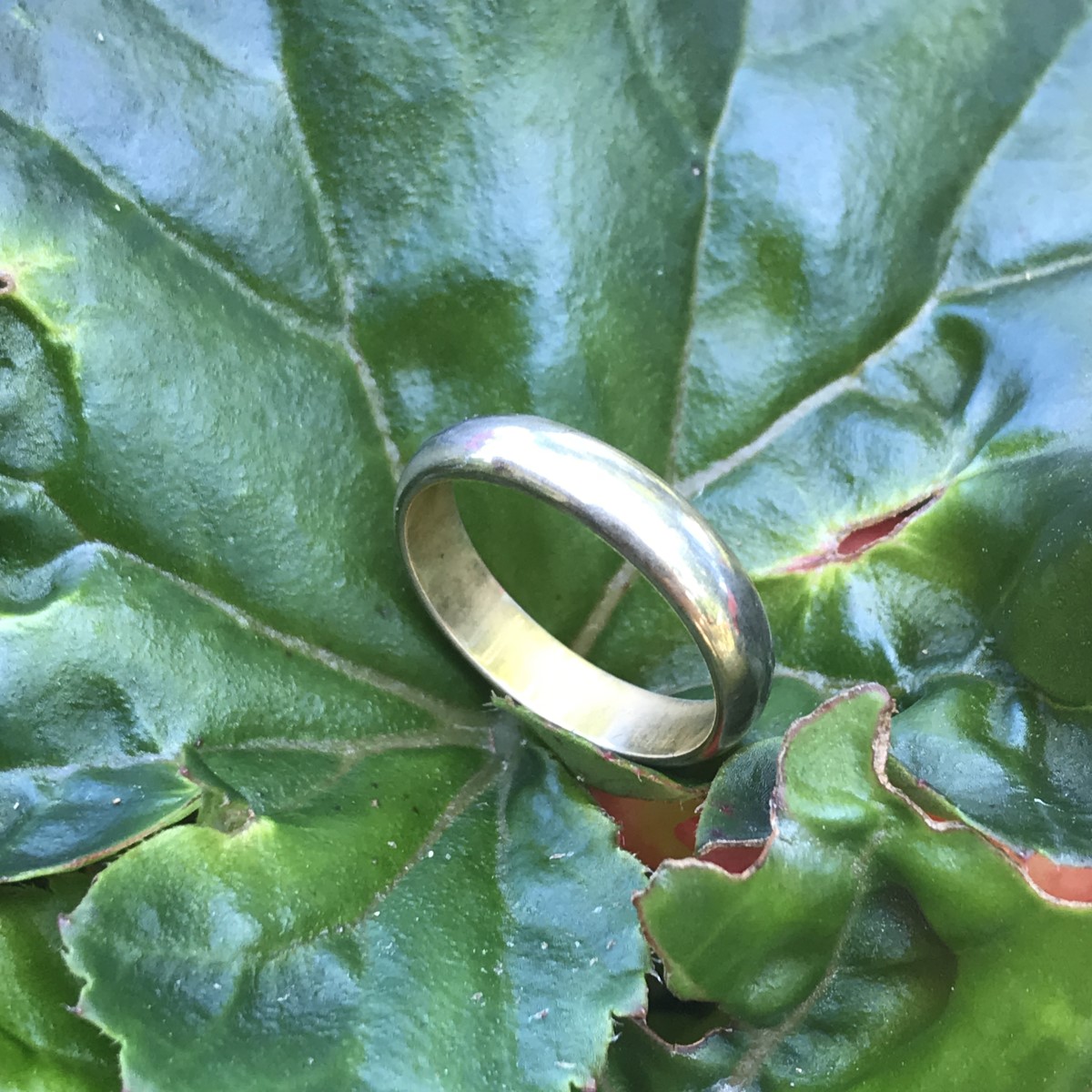 Estate Ring