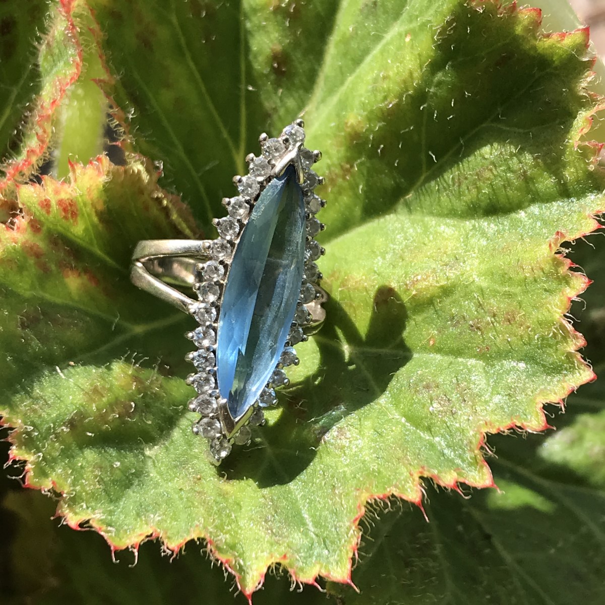 Classic Ring