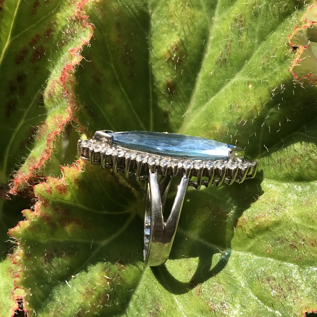 Classic Ring