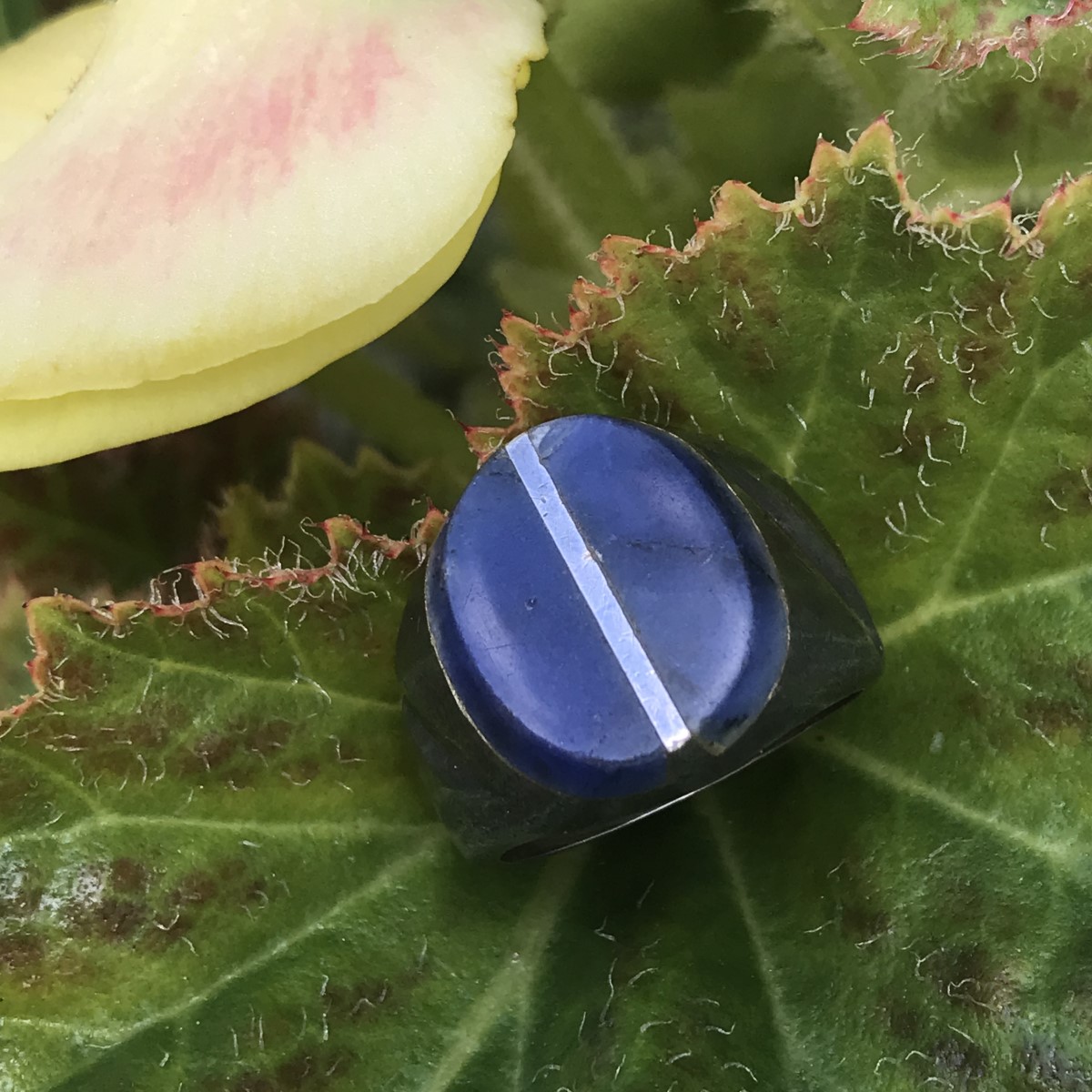 Men's Lapis Ring