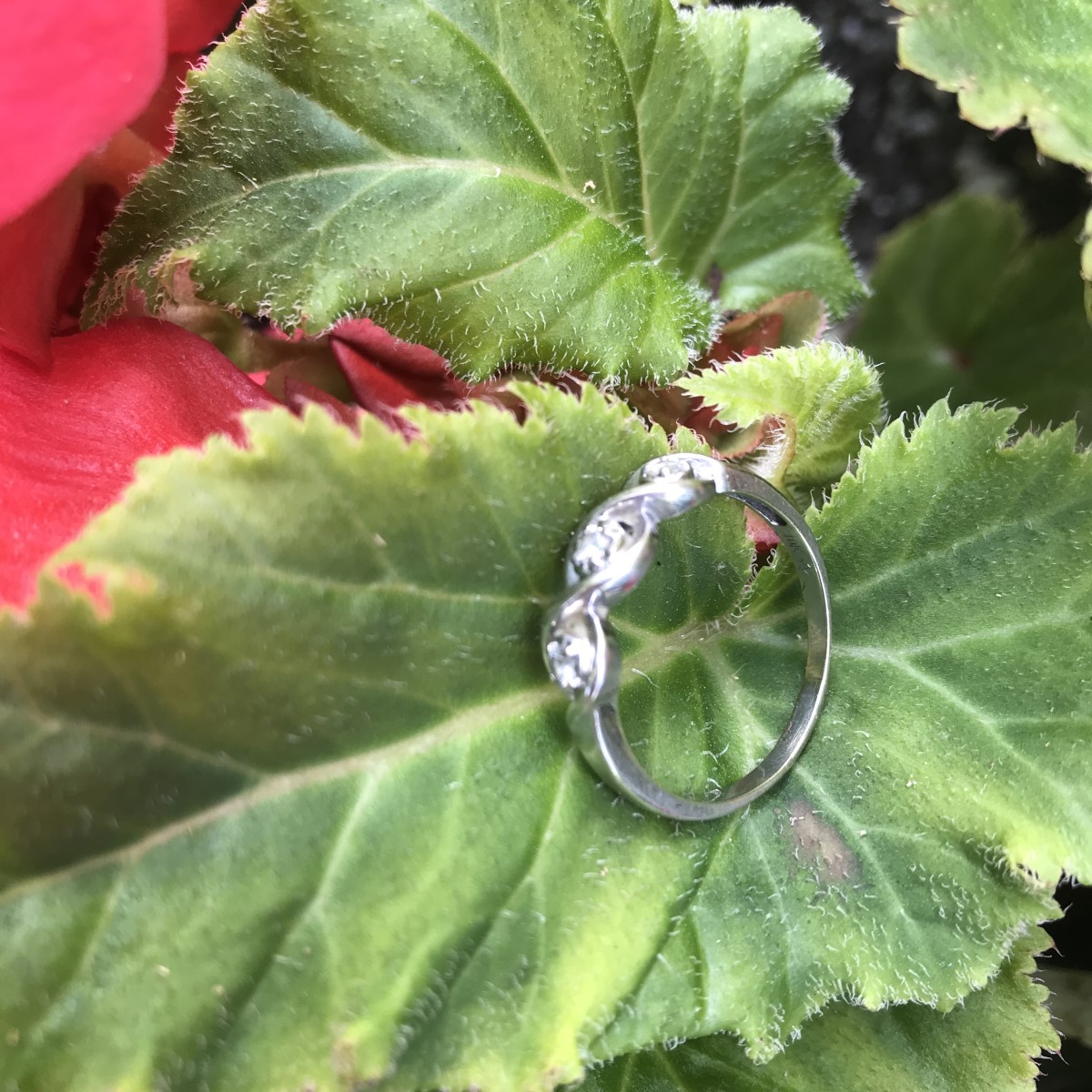 Ornate Ring