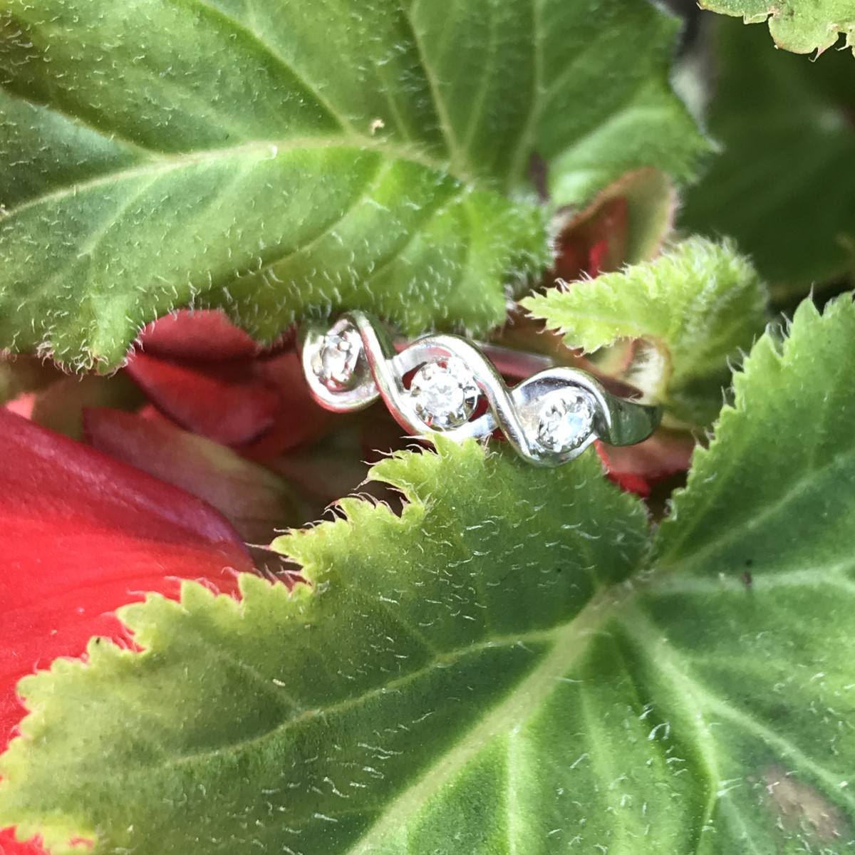 Ornate Ring