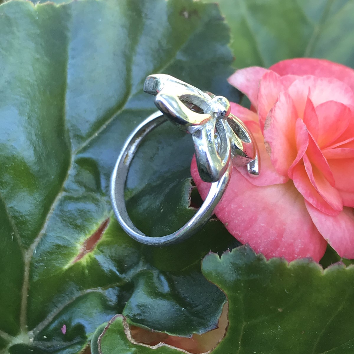 Heirloom Ring