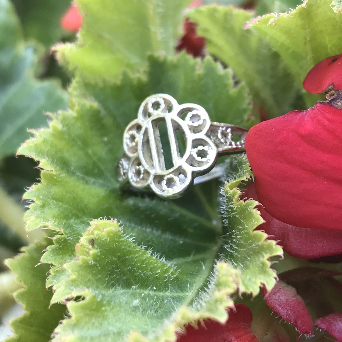 Classic Ring