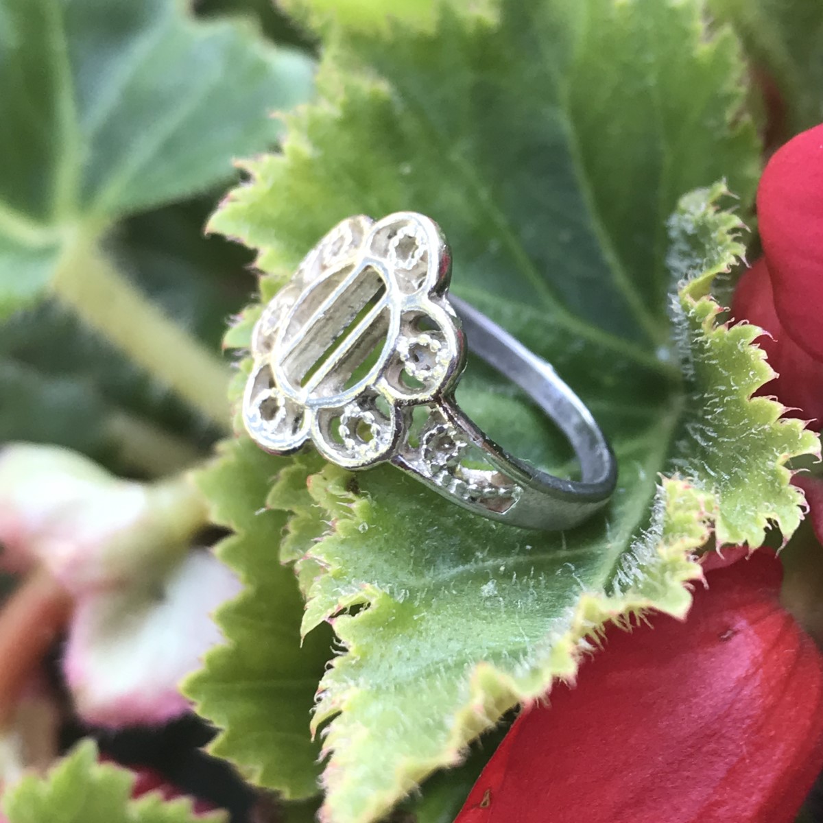 Classic Ring