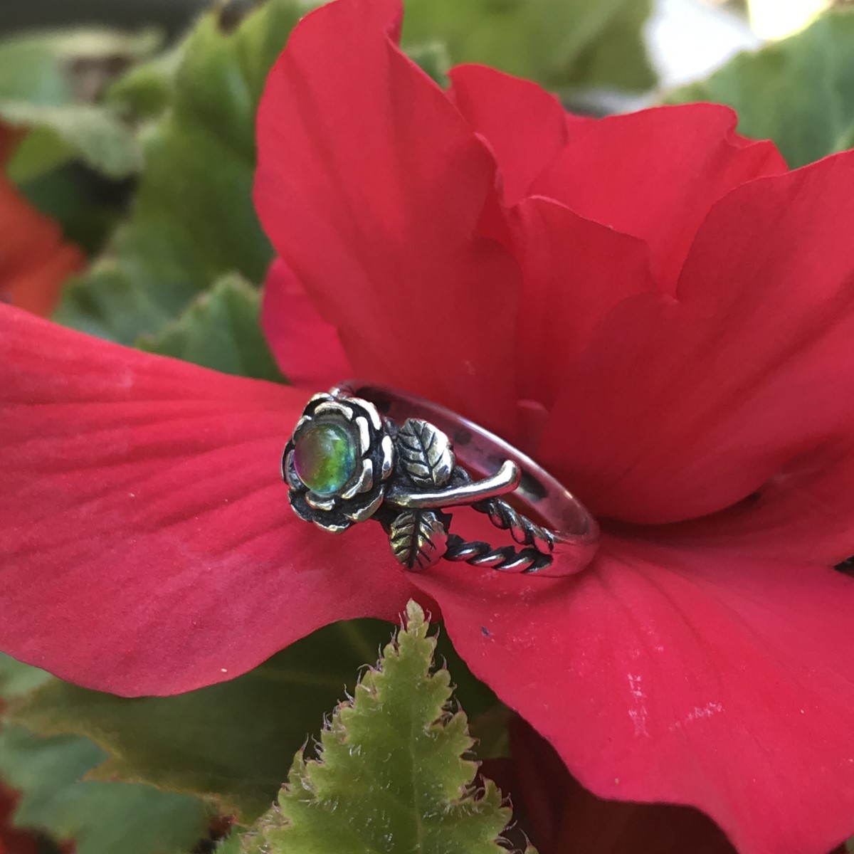 Elegant Ring