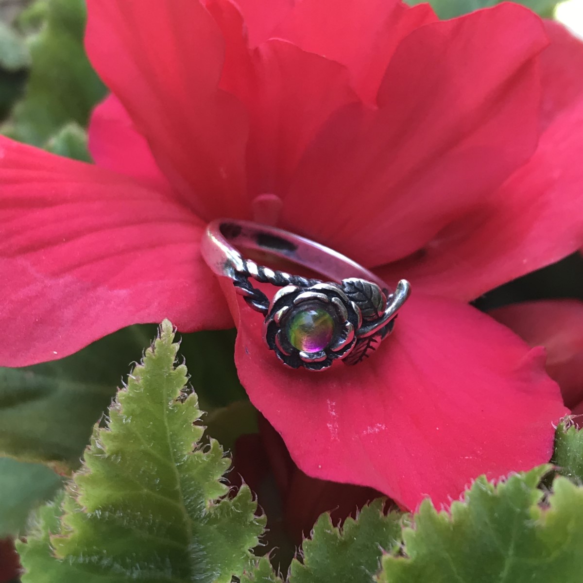 Elegant Ring