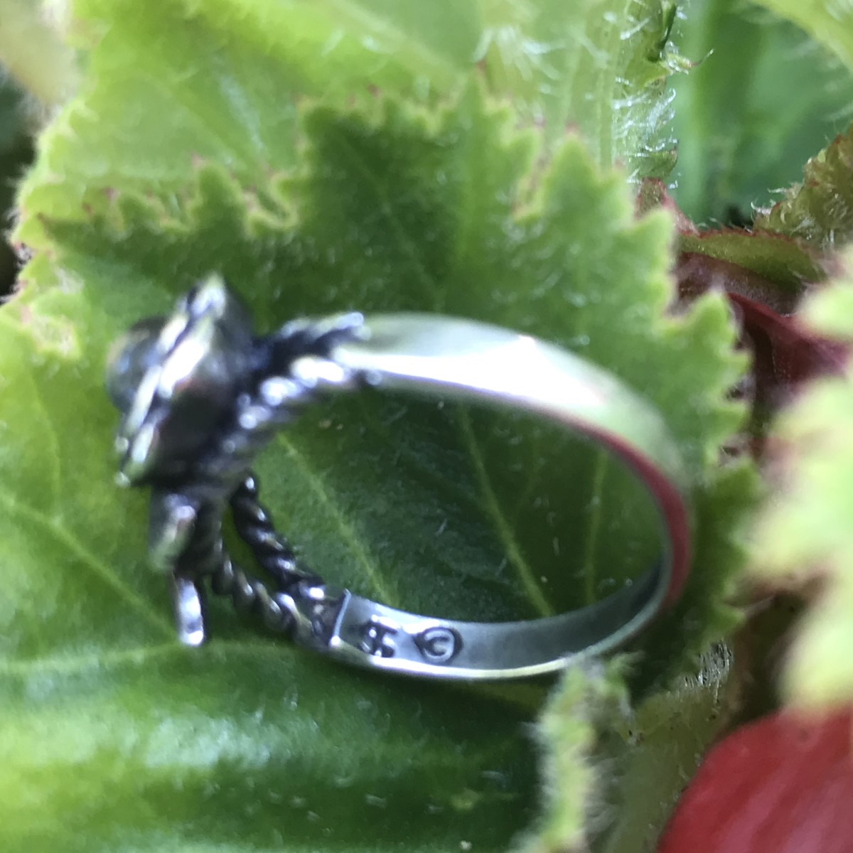 Elegant Ring