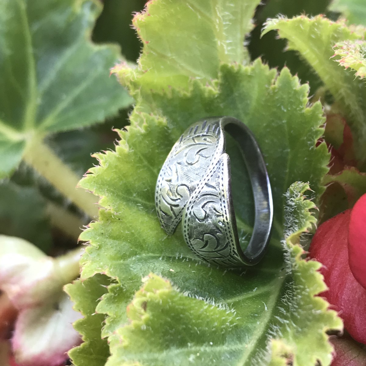 Timeless Ring