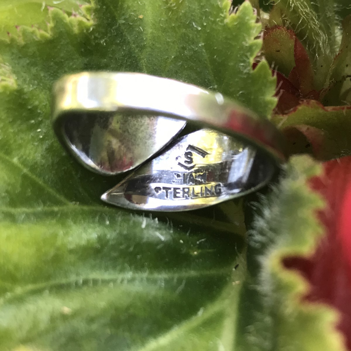 Timeless Ring