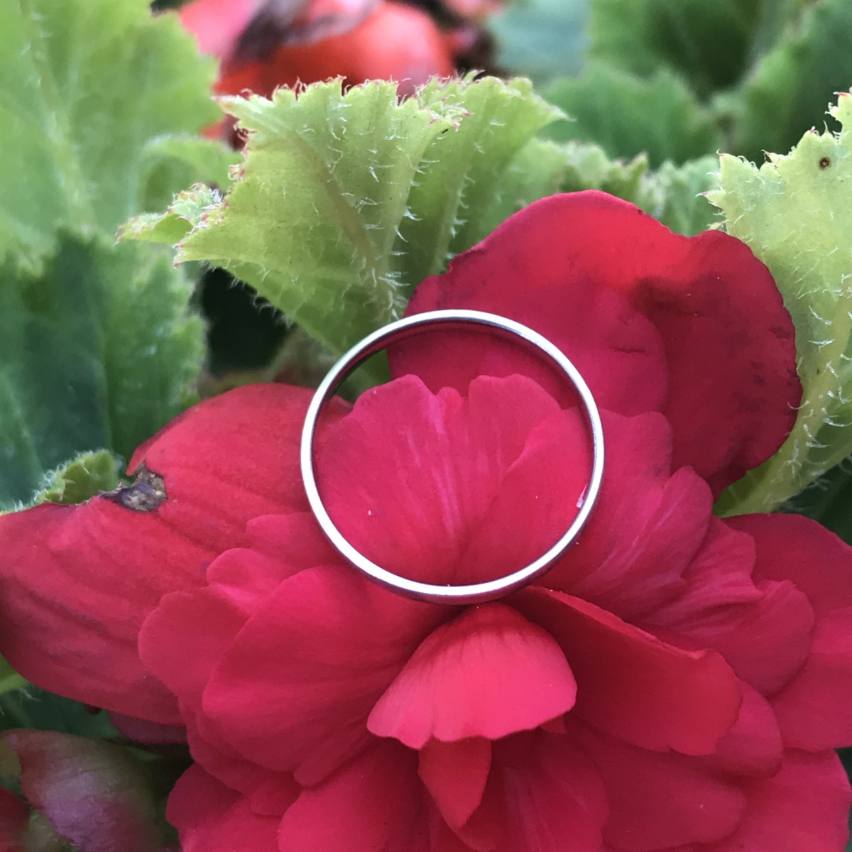 Charming Ring