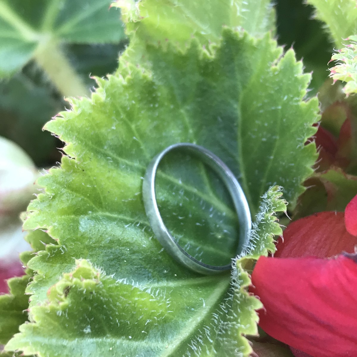 Charming Ring