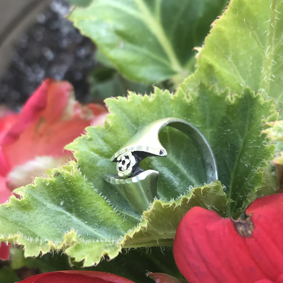 Heirloom Ring