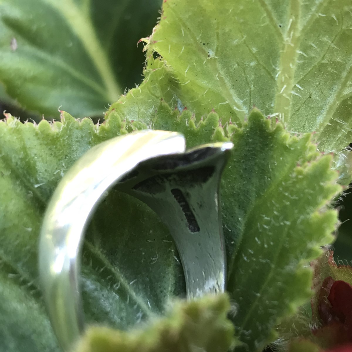 Heirloom Ring